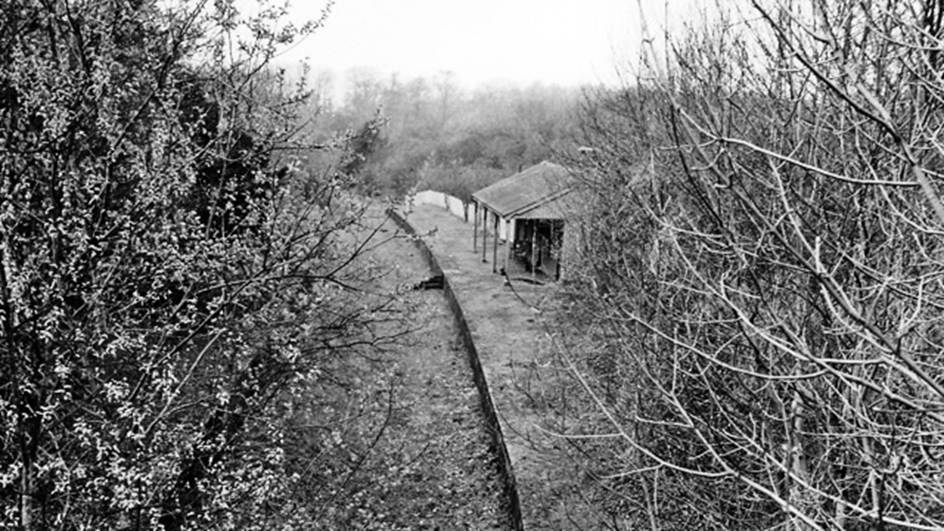 Bishopsbourne
View towards Canterbury on 16th April 1963. Canterbury West - Shorncliffe (Elham Valley) line. The survival of the station building is remarkable, as the station closed on 1st December 1940!
Ben Brooksbank (CC-by-SA/2.0)