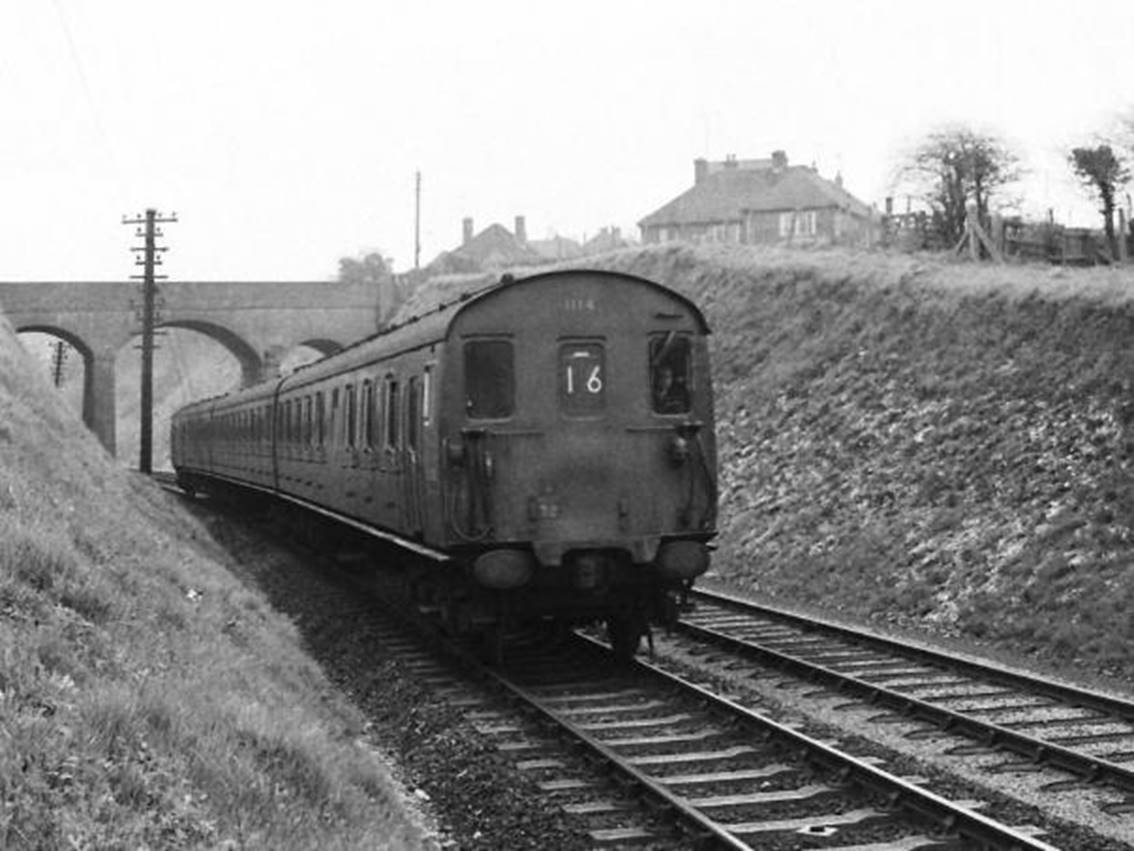 3H 1106 & 1129 to Southampton Terminus from Alton May 1964 copyright BloodandCustard web.jpg