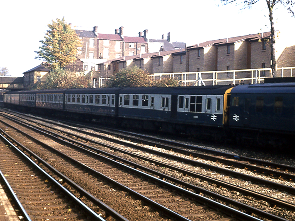 https://www.bloodandcustard.com/BR-6S-6L-6B-Hastings.html

6S unit 1002 passing Sydenham 7-Nov-78
© Tony Watson
