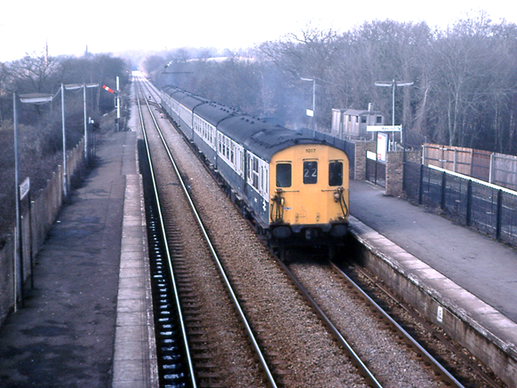 https://www.bloodandcustard.com/BR-6S-6L-6B-Hastings.html

6L unit 1017 at Godstone (CHX div.) 17-Mar-79
© Tony Watson
