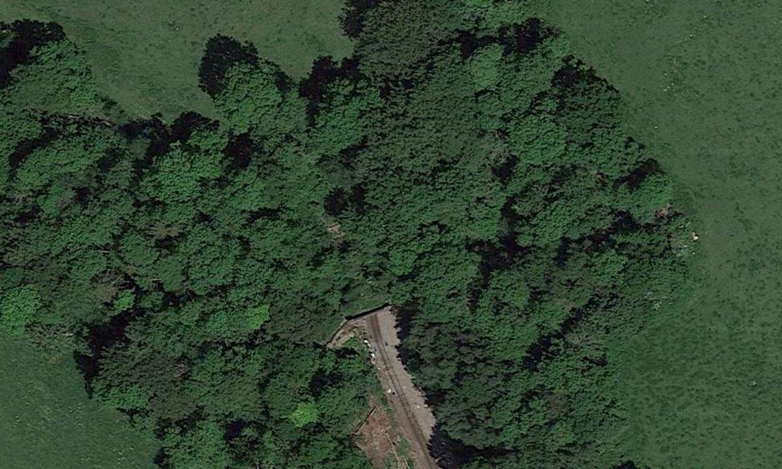 https://www.bloodandcustard.com/BR-Tunnels-MarkBeech.html

In this ariel view, part of the parapet between the tunnel and cut-and-cover 
section (with its south-end portal) can just be seen amongst the trees.
 Googlemapping plc (courtesy of Network Rail Infrastructure Ltd)
