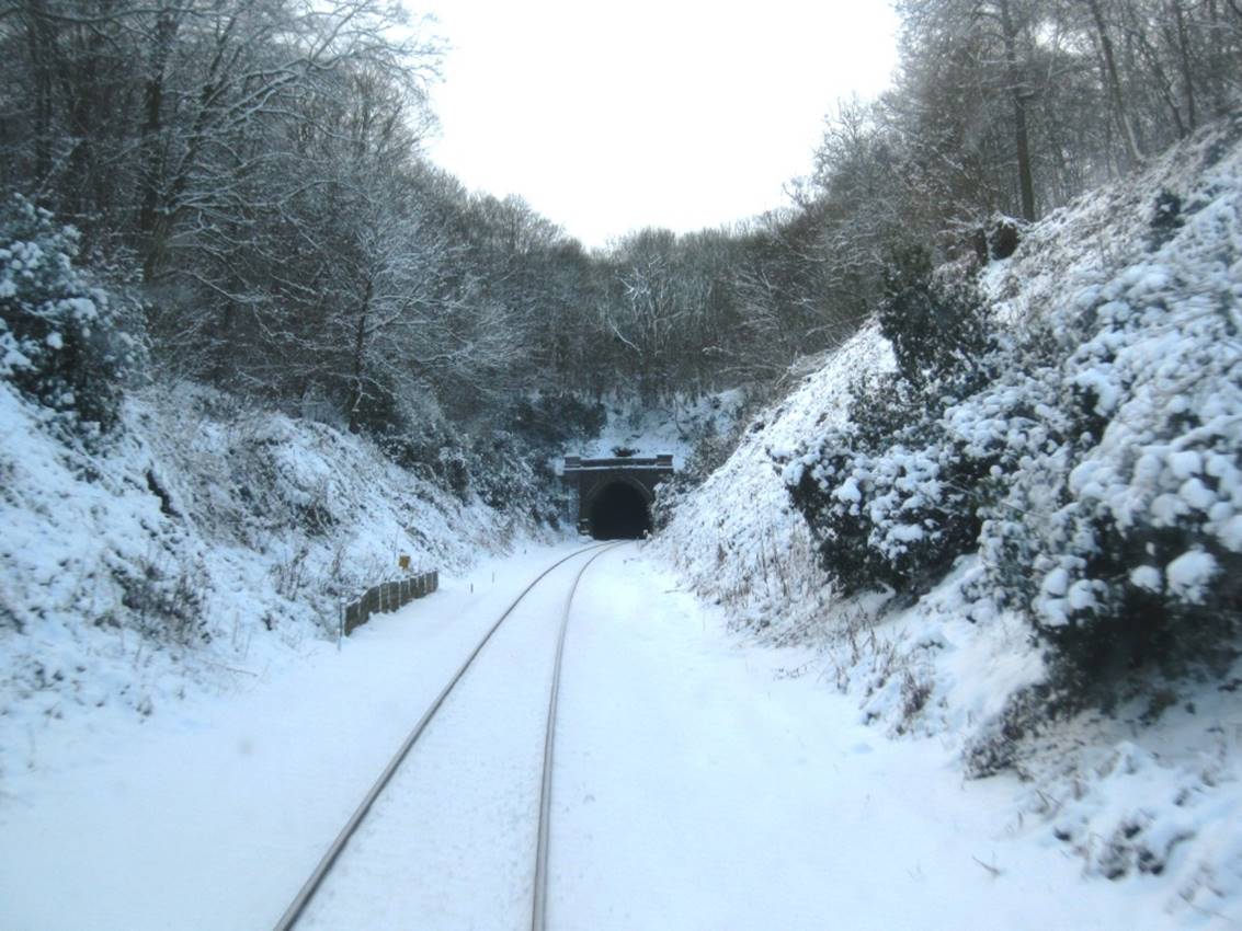 https://www.bloodandcustard.com/BR-Tunnels-MarkBeech.html

North-end portal from an Uckfield-bound class 171 on 9th January 2010.
Note how the alignment is moving across from the former Down to the former Up.
 Colin Watts
